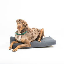 Cuscino per cani 90x50x10 cm