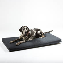 Cuscino per cani 122x68x10 cm